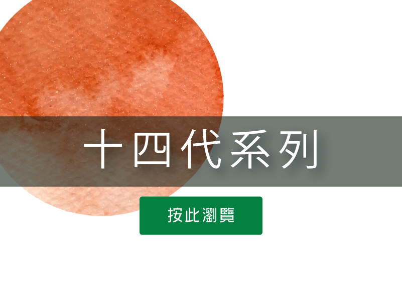 按此瀏覽十四代系列